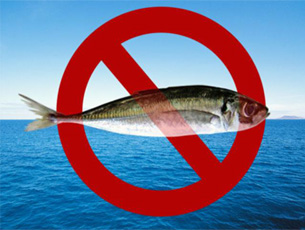 Fishing ban from June 1 to July 31